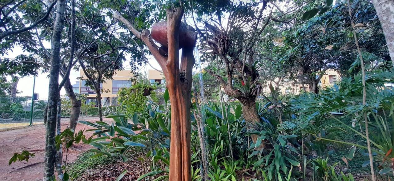 Flat Condominio Paraiso Serra Negra ベゼーホス 部屋 写真